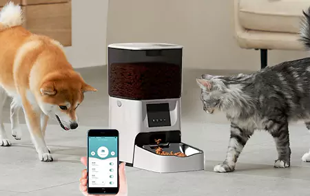 Principiu di alimentatore automaticu per animali