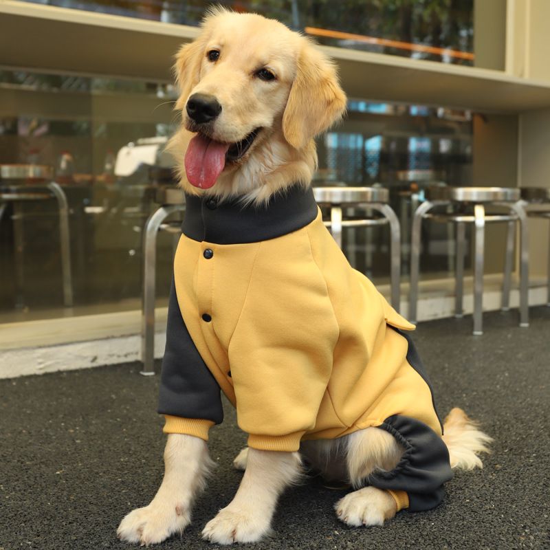 Cappottu di cane grande per animali domestici